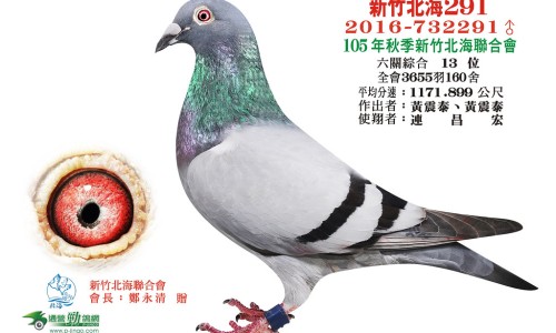 南沙参的功效与作用的功效和作用是-南沙参的功效与作用是什么网 | 南沙参的功效与作用点,南沙参的功效与用途